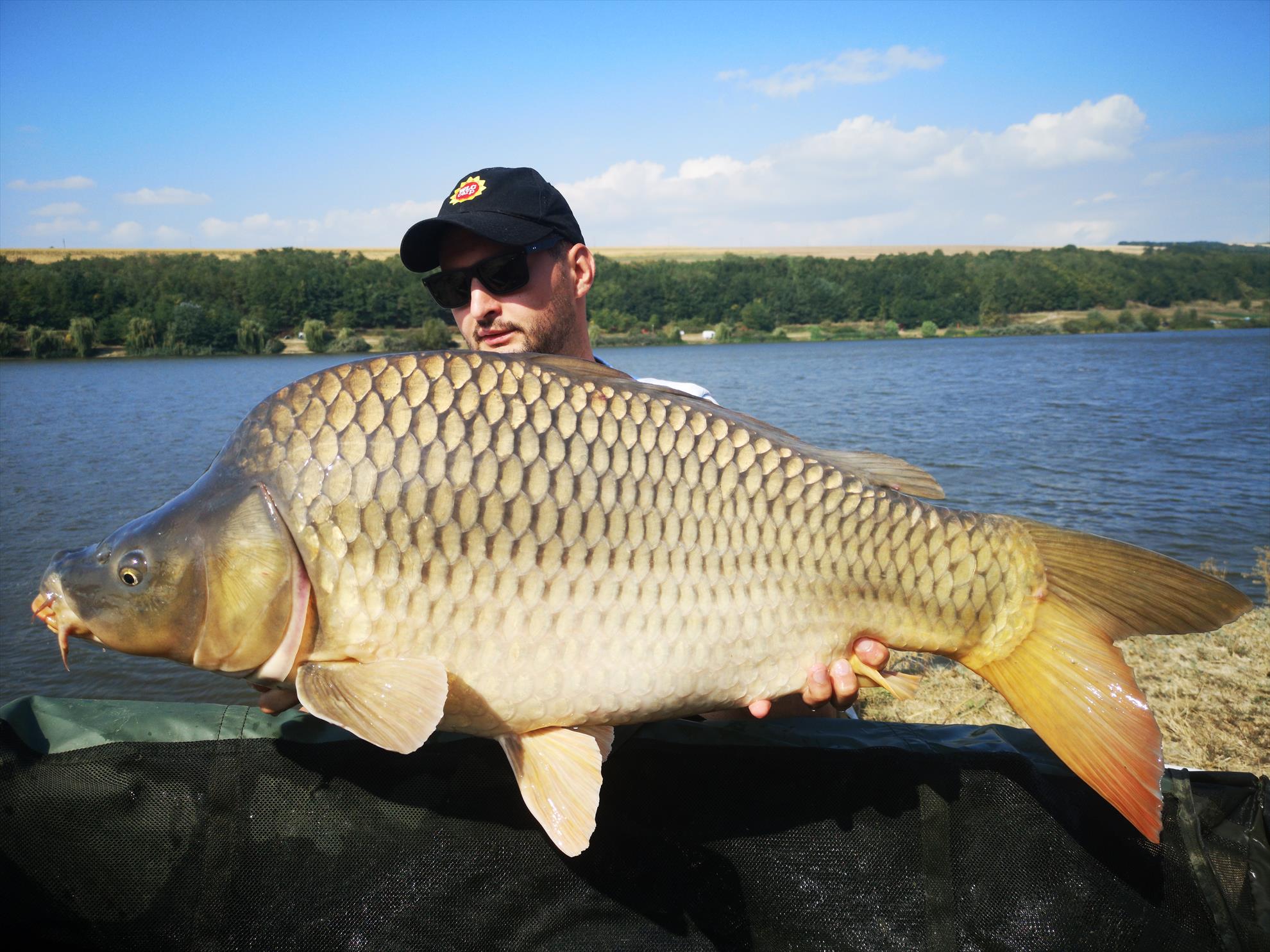 Horgești - img20190914113100.jpg